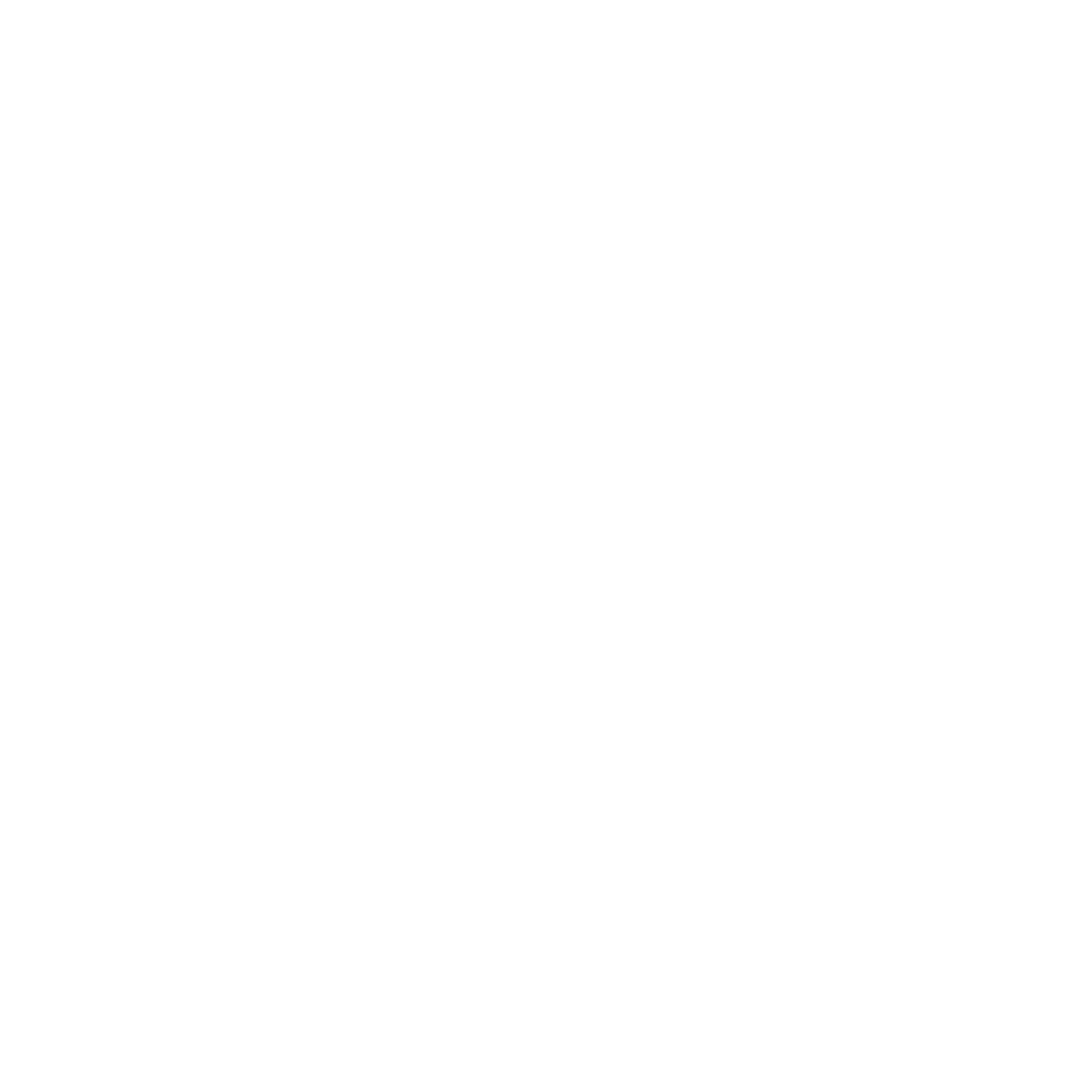 Bison Innovative Products Logo